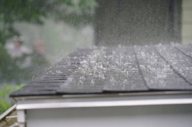 Best Roof Insulation Installation  in Hillsborough, NC